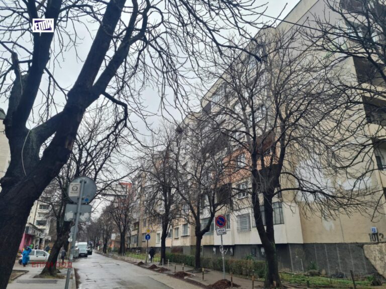 Дава под Наем 2-СТАЕН